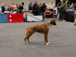 CACIP2025_248