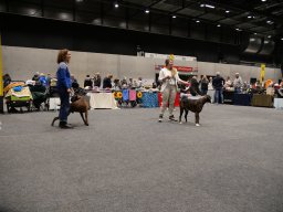 CACIP2025_363