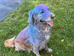holi2025_2