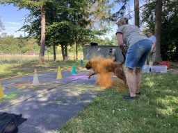 holi2025_6577