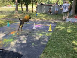 holi2025_e6574